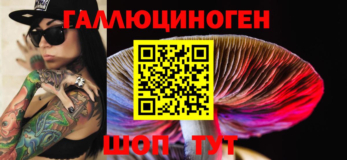 Галлюциногенные грибы GOLDEN TEACHER  Псилоцибиновые грибы мицелий  Будённовск  где можно купить наркотик  Вход с VPN 